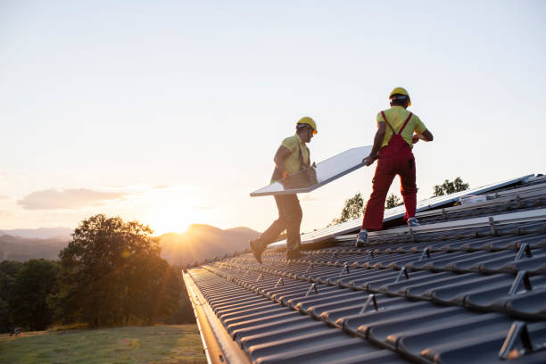 Best Roof Moss and Algae Removal  in Olivehurst, CA